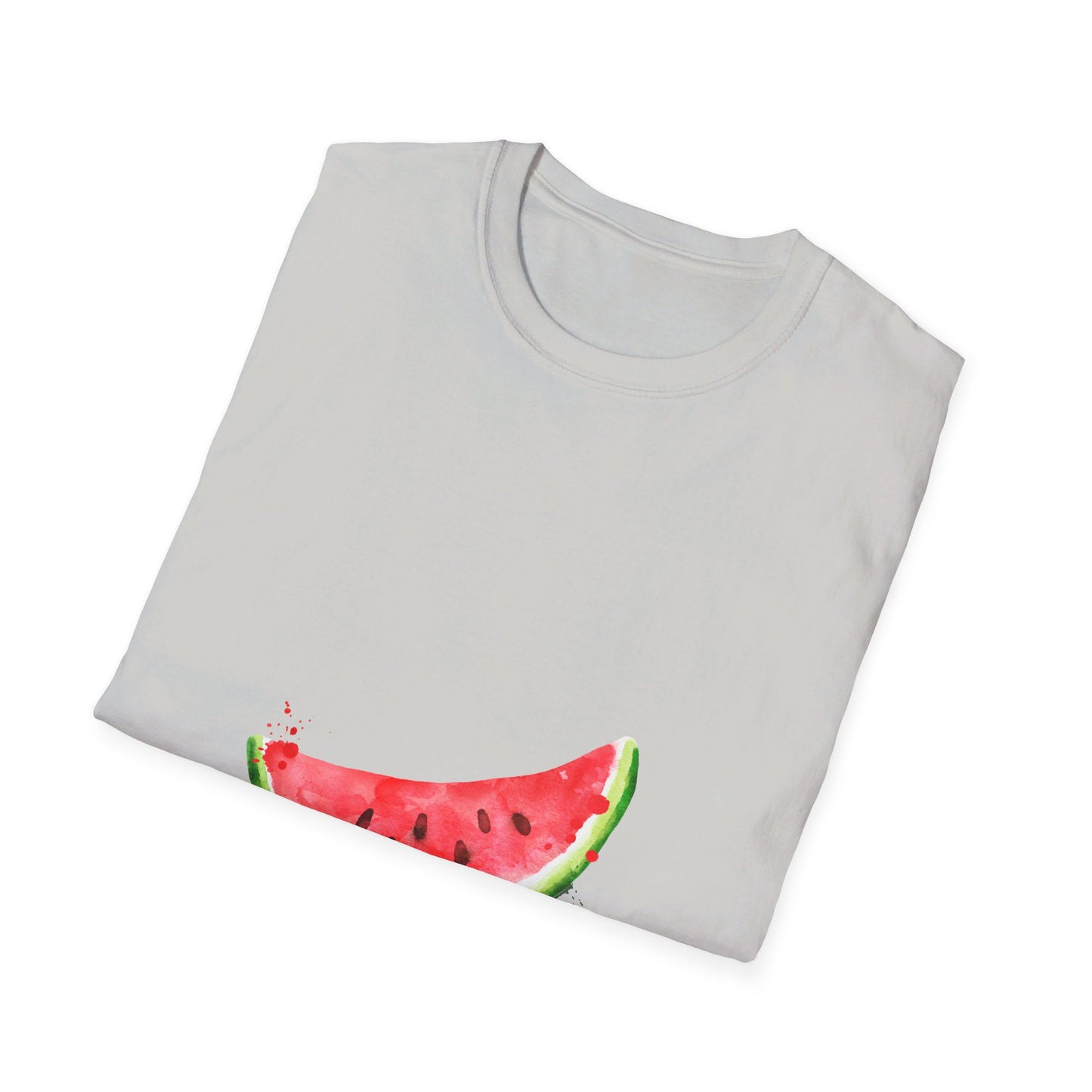 Summer watermelon  t-shirt