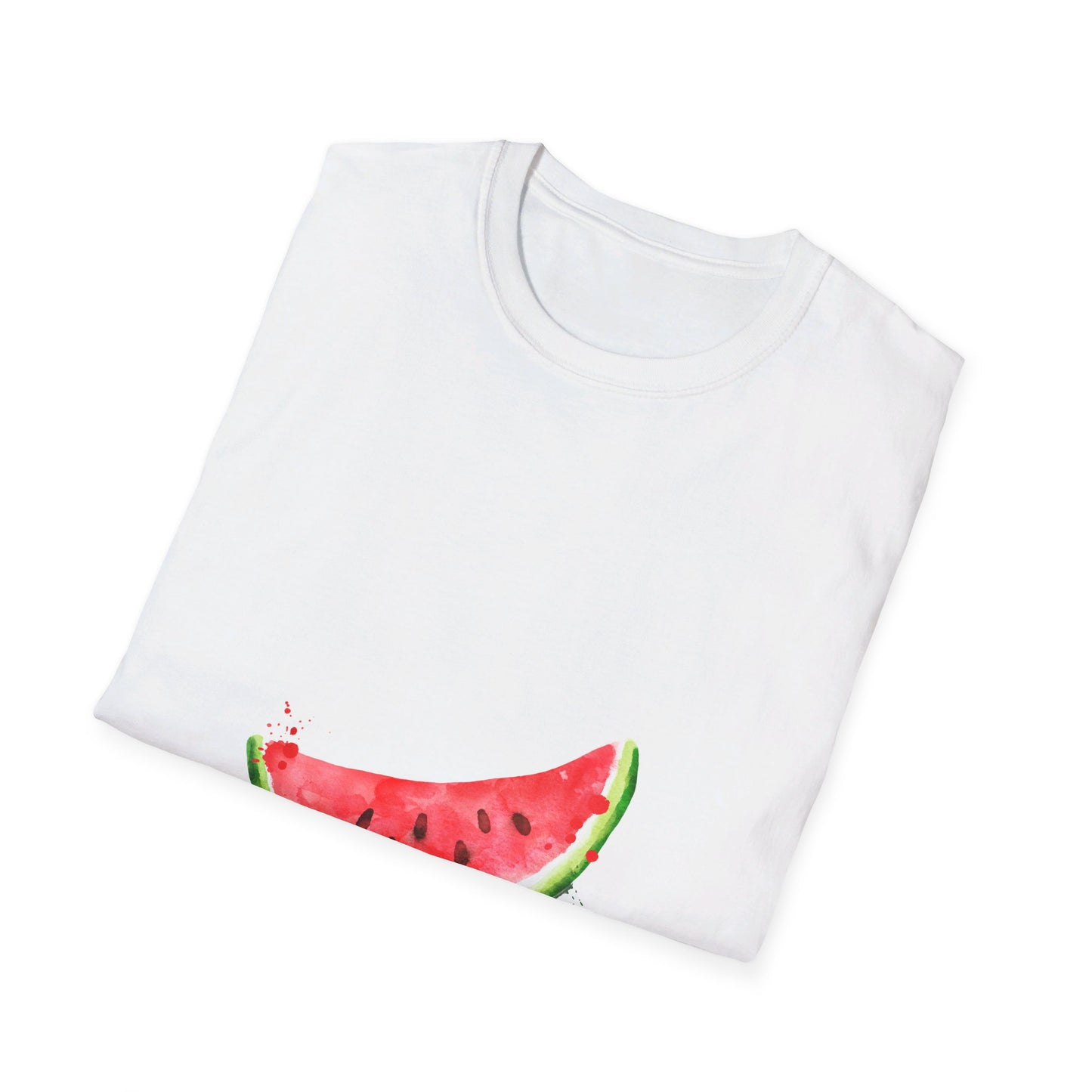 Summer watermelon  t-shirt