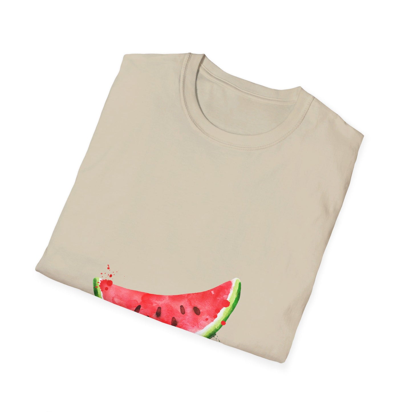 Summer watermelon  t-shirt