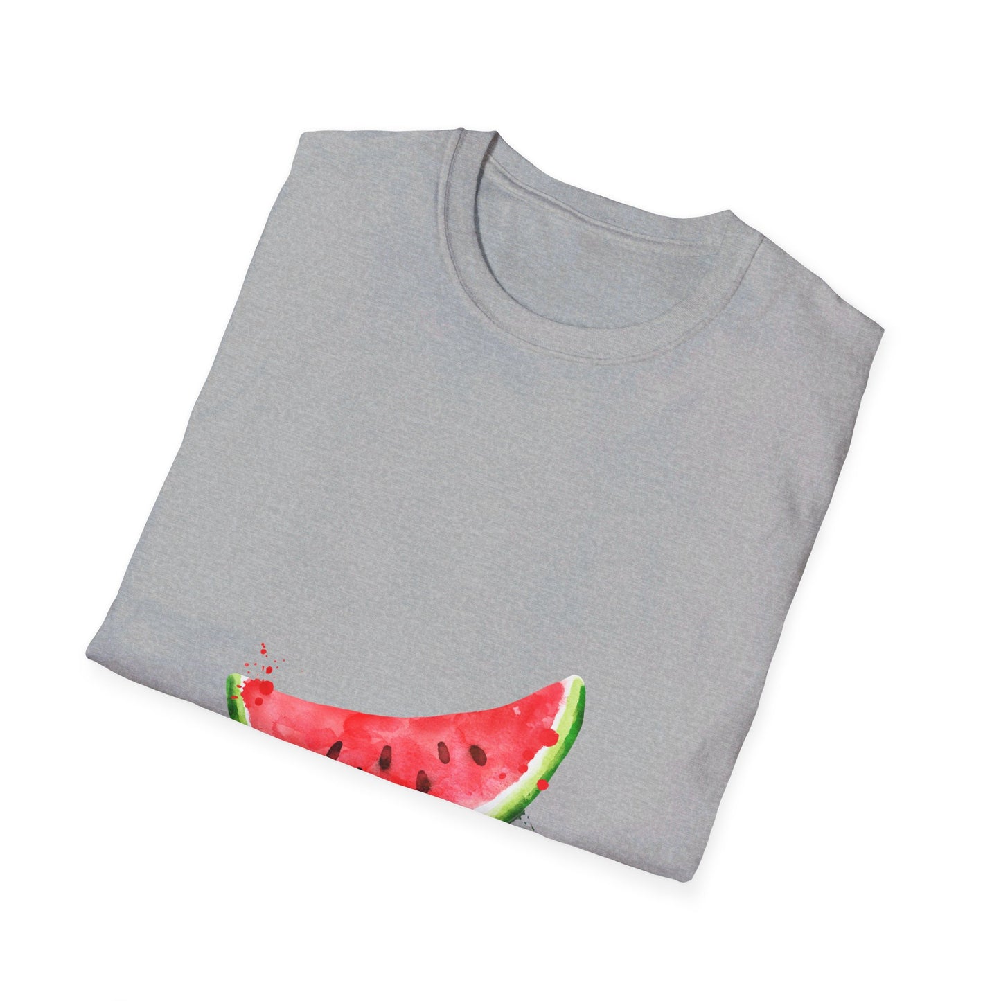 Summer watermelon  t-shirt